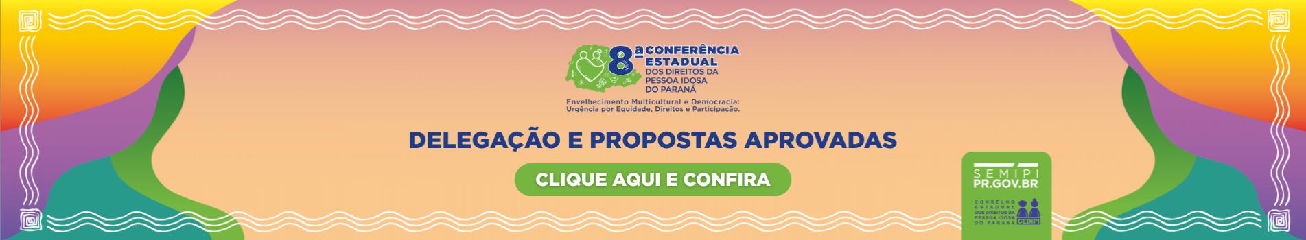 8ª Conferência Estadual dos Direitos da Pessoa Idosa