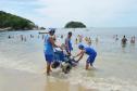 Pessoas com deficiência ou mobilidade reduzida podem usar cadeiras anfíbias no banho de mar - Foto: Aliocha Mauricio/SEDS