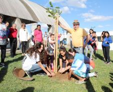 Centro da Juventude promove troca de experiências entre adolescentes e pessoas idosas - Foto: Aliocha Maurício/SEDS