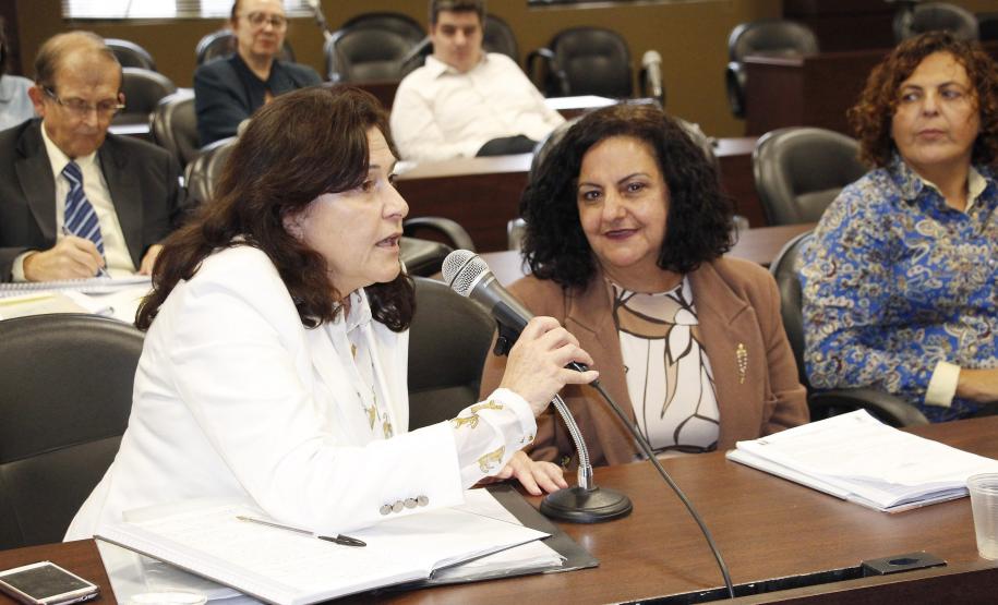 Conselho Estadual dos Direitos do Idoso empossa novos representantes - Foto: Aliocha Mauricio/SEDS