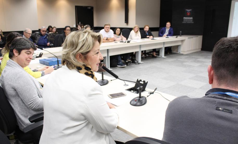 Secretária da Família e Desenvolvimento Social, Nádia Moura, participa da reunião do Cedi - Foto: Aliocha Maurício/SEDS