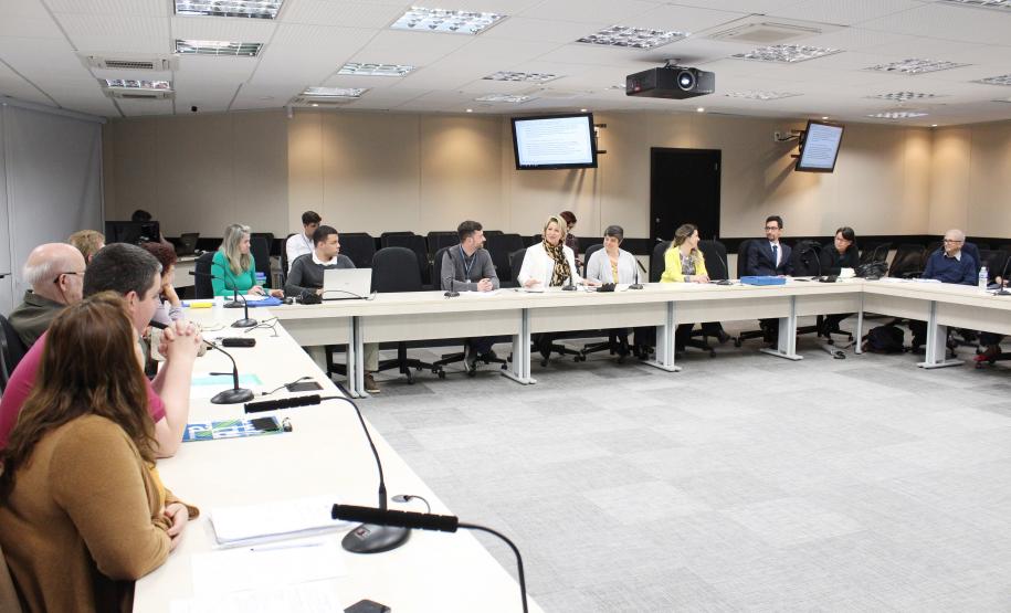 Secretária da Família e Desenvolvimento Social, Nádia Moura, participa da reunião do Cedi - Foto: Aliocha Maurício/SEDS